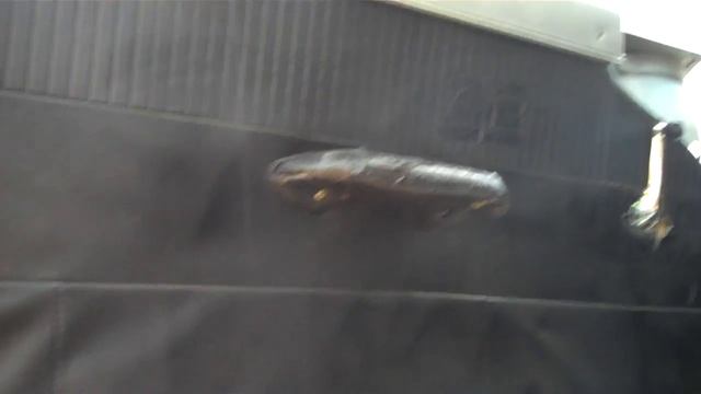 1955 Ford custom Hotrod смотреть онлайн