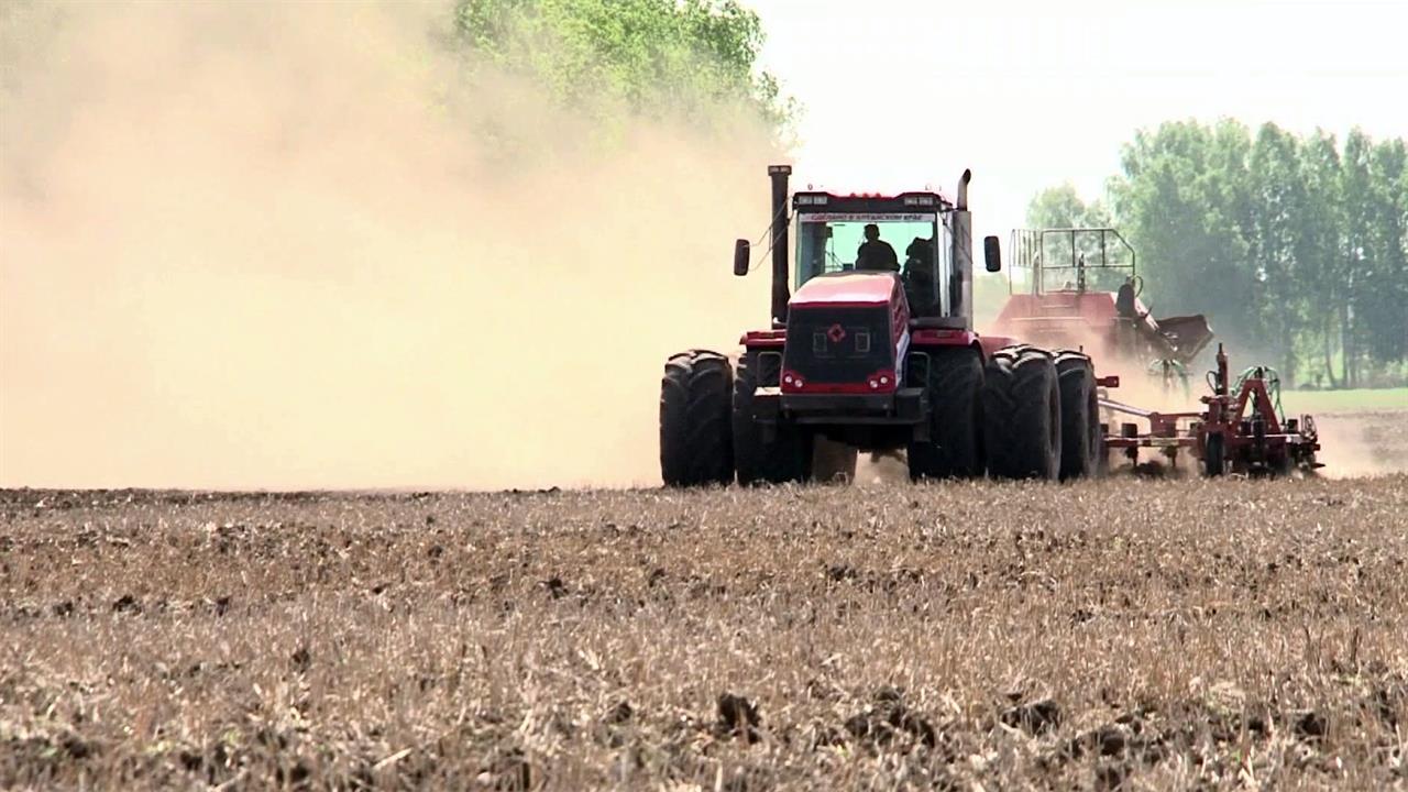 Россия вновь подтвердила статус одного из ведущих производителей зерна