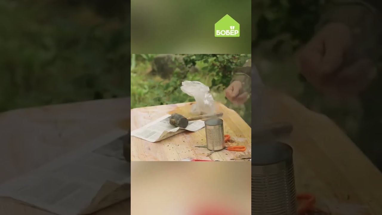 Телеканал Бобёр на RUTUBE: 2810 видео – смотреть онлайн и бесплатно ...