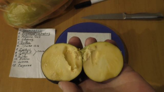 Азимина ,3 новых сорта,обзор. 22 смотреть онлайн