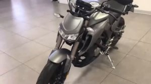 Regulmoto alien monster