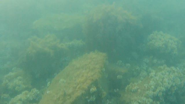 Идëм на дикий пляж на Большом Утрише, подводная съëмка, возвращаемся в Сукко, Чëрное море смотреть онлайн