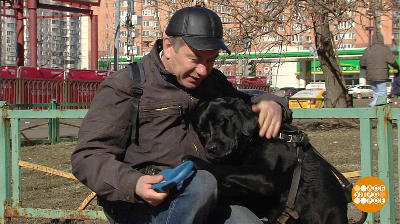 Милорд идет в метро. Доброе утро. Фрагмент выпуска от 28.03.2019