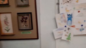 Саратов Краеведческий музей