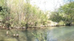 Mazda Proceed Levante