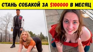 САМЫЕ СТРАННЫЕ ПРОФЕССИИ, КОТОРЫЕ СДЕЛАЮТ ВАС БОГАТЫМИ