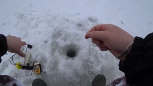 ПЛОТВА ПОПЕРЛА! Ловля плотвы зимой на мормышку