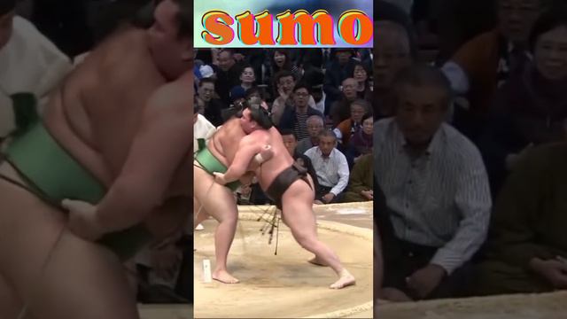 🔥Hakuho Sho: The Greatest Sumo Wrestler of All Time" #sumo #sports #legend