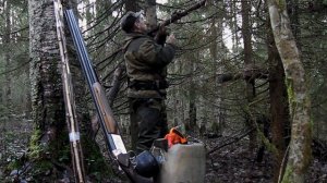 Проверка путика. Промысел куницы.