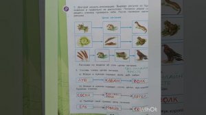 3 класс. ГДЗ. Окружающий мир. Рабочая тетрадь. Плешаков. Часть 1. Страницы 55-57. С комментирование