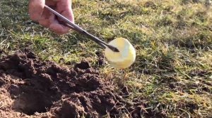 КАК ПРОГНАТЬ КРОТА l СЕРНАЯ ШАШКА l ВЫКУРИВАЕМ КРОТА