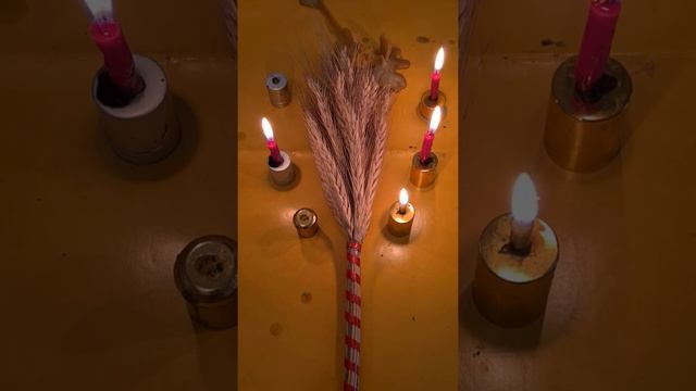 РИТУАЛ ПЛОДОРОДИЯ НА МУЖСКУЮ СИЛУ смотреть онлайн