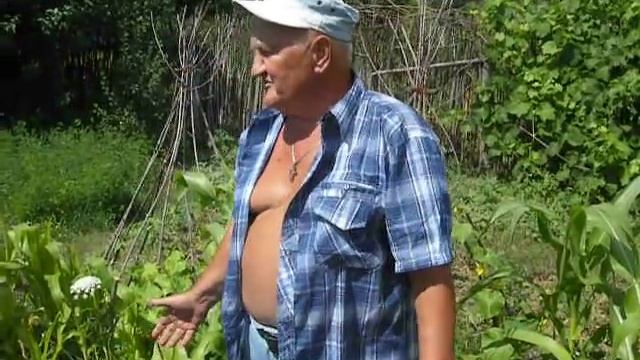 Б.А.Бублик. Ленивая совмещенная грядка смотреть онлайн