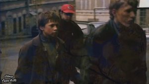 Александр Дюмин "Серые цветы"