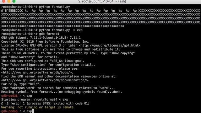 Adapting the 32bit exploit to 64bit for format4 - bin 0x27 смотреть онлайн