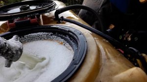 подкормка подсолнуха .