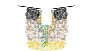 ЛИВНЕВАЯ КАНАЛИЗАЦИЯ СВОИМИ РУКАМИ ИЗ ПОДРУЧНЫХ МАТЕРИАЛОВ