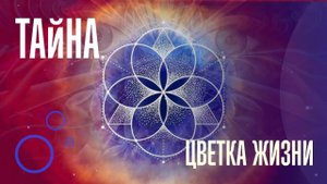 4 урок Тайна цветка жизни