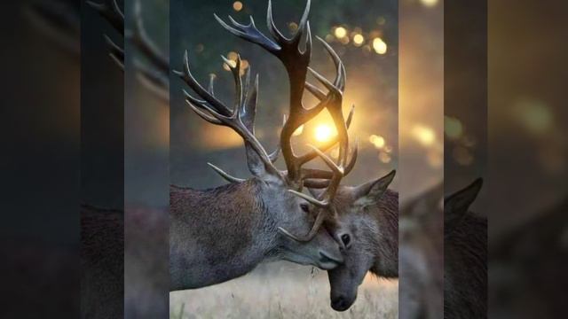 Как создать совершенную судьбу? Судьба и сознание, 018 смотреть онлайн