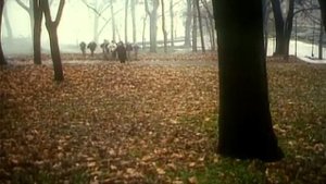 Танго над пропастью