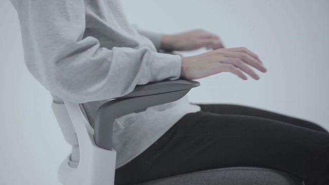 Steelcase Series 1 - Essential Ergonomics