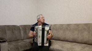 'Одинокая ветка сирени'-кавер на баяне