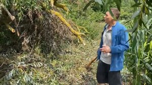 Толя Солома нашел РАБОТУ в селе