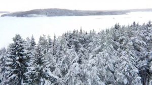 Тур на Валаам зимой