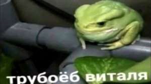 Трубоеб Виталя