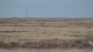 Испытания борзых в Ленинском районе Волгоградской области 1-4 ноября 2014г.