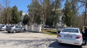 В Крым пришла весна пришла - всё цветёт и пахнет.