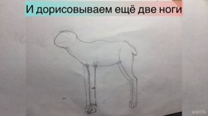 Как нарисовать северного оленя быстро и легко. Поэтапно