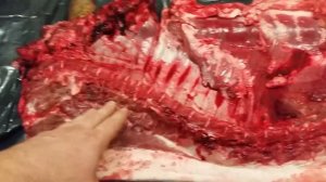 Разделка вьетнамской свиньи (выход мяса после разделки)