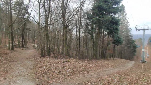 FOREST WALKING - MALE KARPATY- SLOVAKIA - ASMR  SOFT SPOKEN - LANOVKA, Železná studnička (HD 60 fps