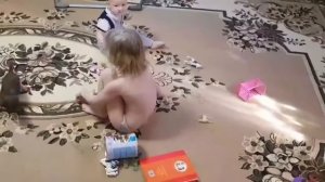 Бешеная собака))) Чихуахуа