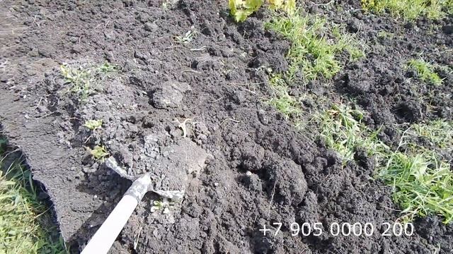 Миф про высокие грядки разрушен. смотреть онлайн