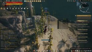 Black Desert [Особняк] х6 Сундуки пиратов на Золотую статую русалки