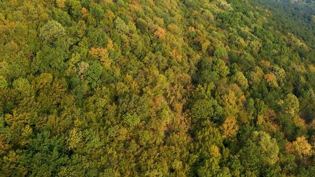 Музыка для сна релакс и успокоение (Relaxs-Relax) медитации / учебы / Light Awash - Kevin MacLeod смотреть онлайн