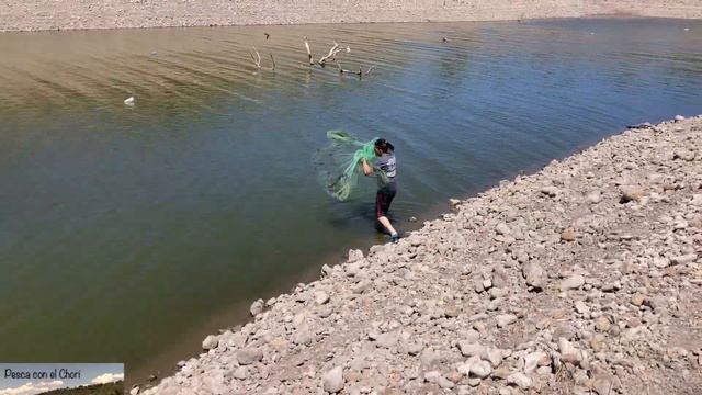 Nos dijeron que no saldrían pescados por la luna llena. Tilapias смотреть онлайн