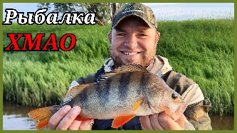 Это речка меня удивила. Бешеный клёв окуня. ХМАО..mp4