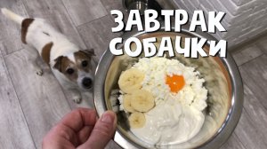 Вкусный завтрак маленького волчишки ??? А чем завтракали ваши хвостики?