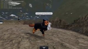 БАГ?!БАГ В ВОДЕ!ЭТО ЕЩЕ РАЗРЕШИЛИ? |КОТЫ воители |роблокс|Баги|большой воин