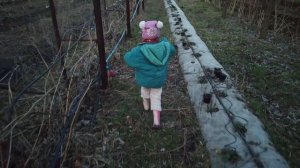 Чем Подкормить Маточник Клубники  Весной. Как Мы Поливаем Маточник.