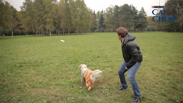 Упражнение "Фрисби" смотреть онлайн