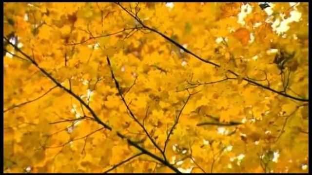 Мы теперь уходим понемногу