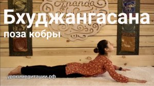 Йога для начинающих. Обучающее видео № 9.2. Асана №20. Бхуджангасана (Поза кобры)