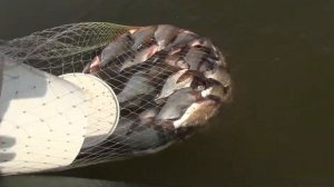 садок для лодки