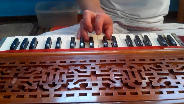 Фисгармонь – 14 – мелодия Ниранджана Свами смотреть онлайн