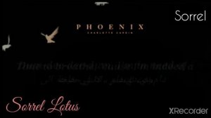 Charlotte - Cardin Sex to me (lyrics) مترجمة للعربية