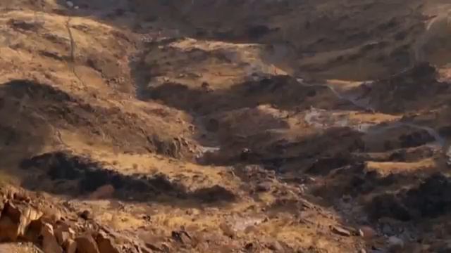 Слёзи Умара смотреть онлайн